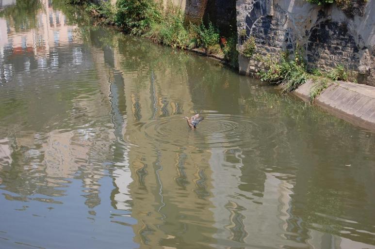 Resize of DSC_0280