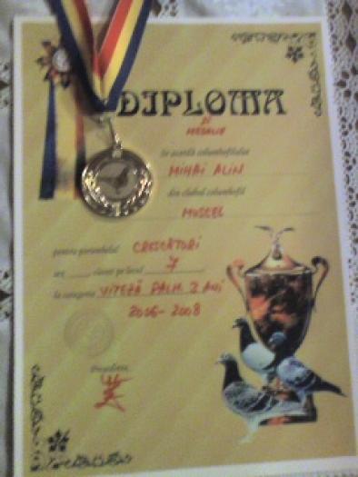 Loc 7  VITEZA PALMARES 3 ani crescatori 2006-2008 club Muscel (Loc 63 UCPR) - Diplome si medalii