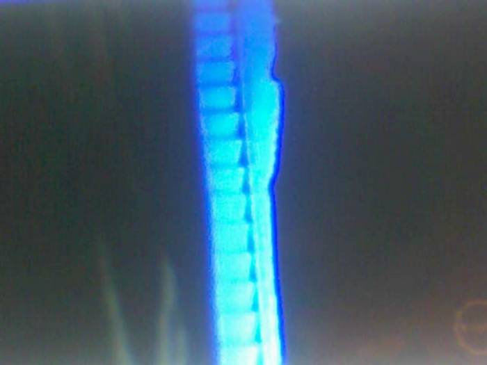 snapshot-392 - Sora lui Cleo Kim