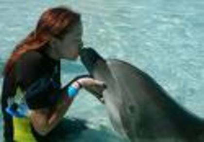 Uite,Emily ce frumos este acest delfin!
