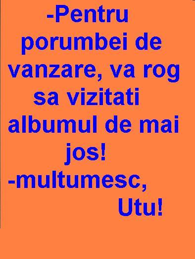 -Pentru porumbei de vanzare, va rog sa vizitati albumul de mai jos! - DE VANZARE