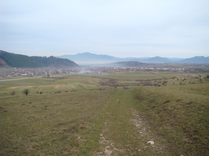 DSC04553 - Valea Crapaturii - Piatra Craiului