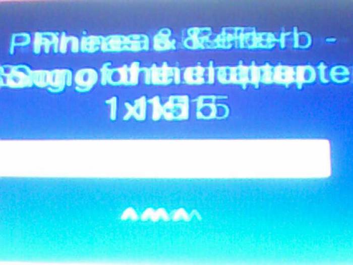 snapshot-136 - Pineas si Ferb