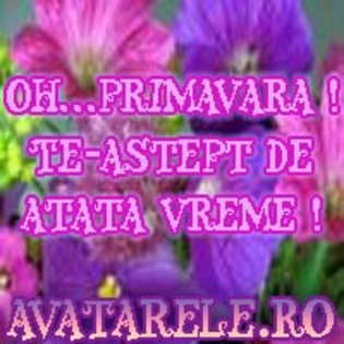 36 - poze avatar primavara
