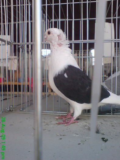 DSC05198