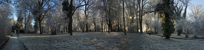 nature (53)