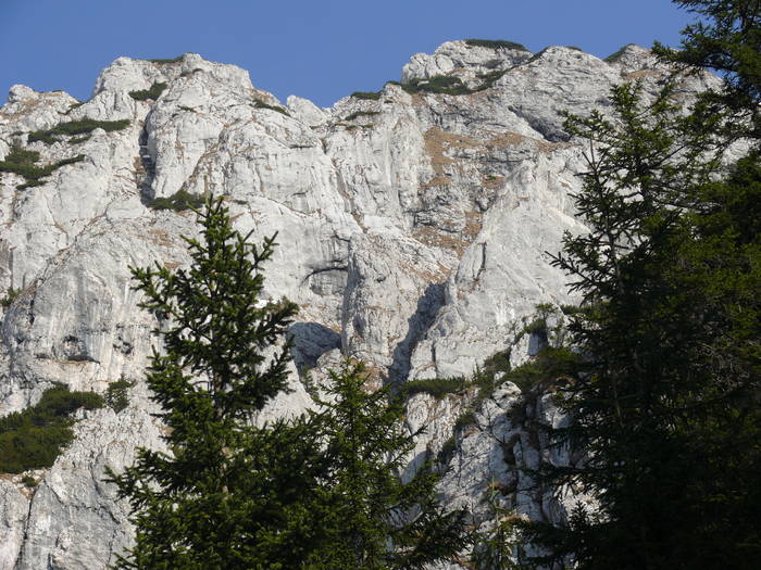 P1050262 - 2009_Piatra_Craiului