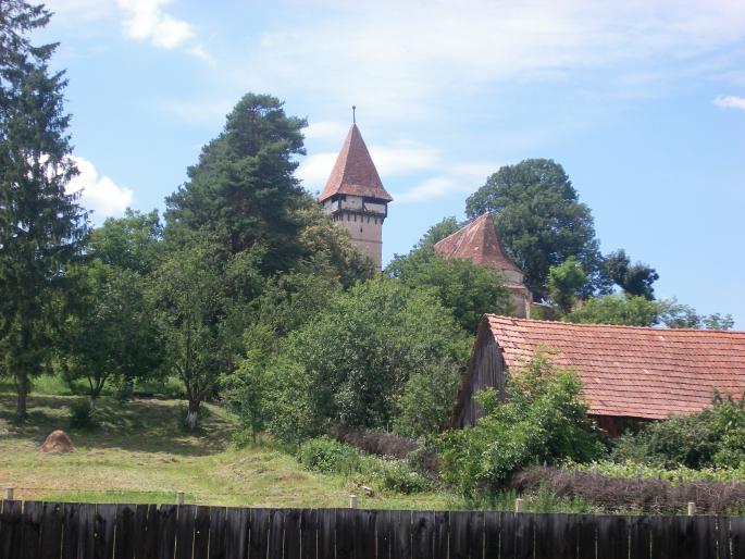 Pelisor-Biserica Evanghelica - Natura