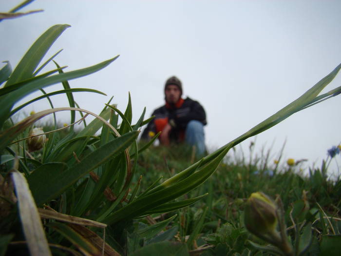 DSC03817 - Concediu 2009