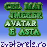 28 - Avatare