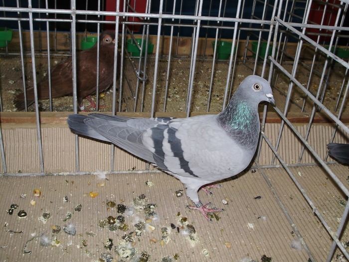 10830 sh 0 - 1507 partea 6a