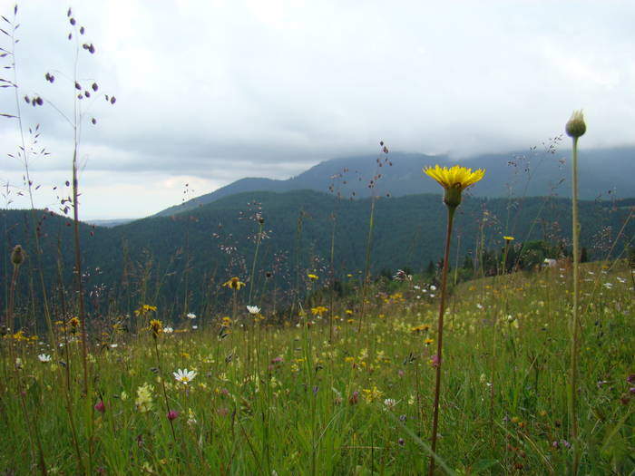 DSC03917 - Concediu 2009