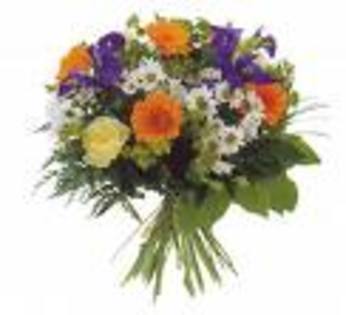 images (9)