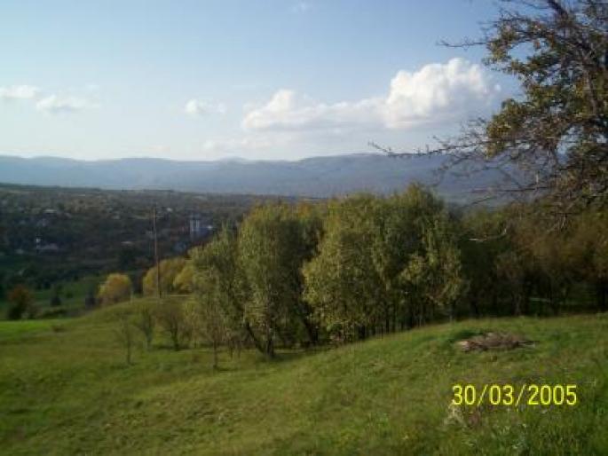 image_16355 - Peisaje din Muntii Carpati
