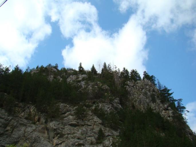 DSC03028