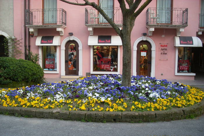 Panselute - FLORI
