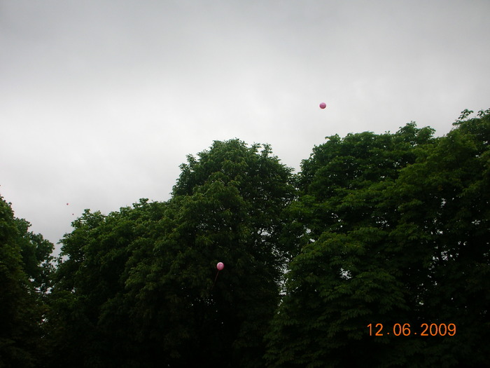 DSCN3942