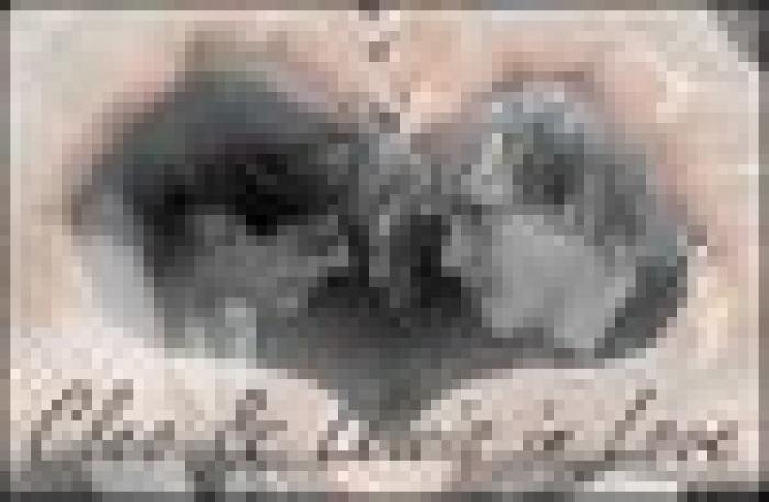 Copy of 3f38c2727b658e7179166ab55f137efa2190