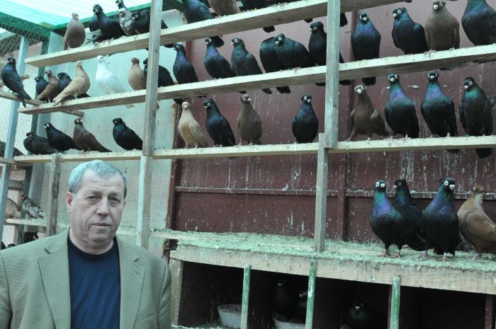 Picture 153 - jucatori de constanta