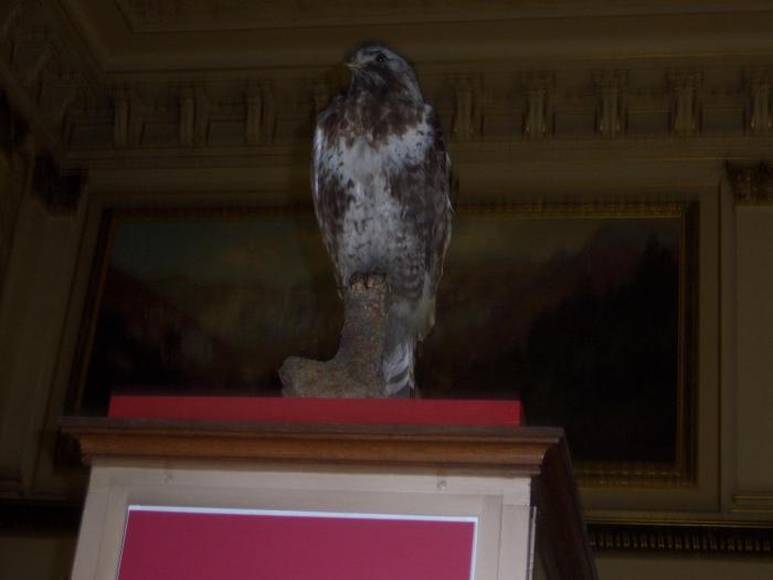 100_1866 - austria 2008
