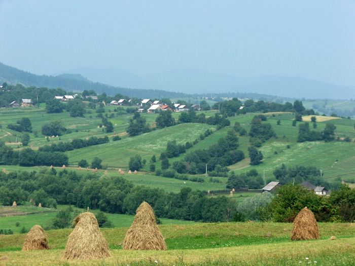 DSCF2227 - peisaje_Bucovina