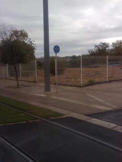 sub sine iarba gazon - ApiMondia