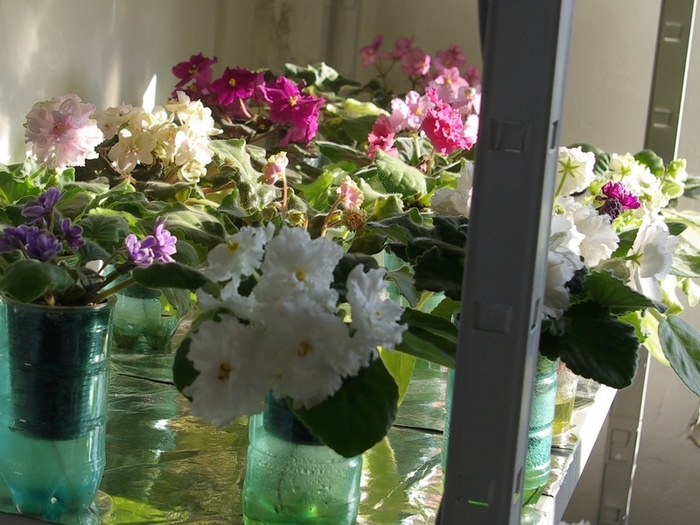 SG106052 - 2013 - Rafturi-Grup