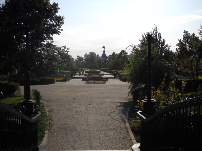 Picture 362 - buzaul