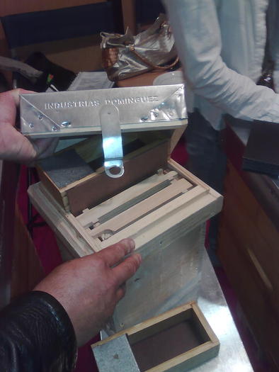 nucleu Mexic - ApiMondia