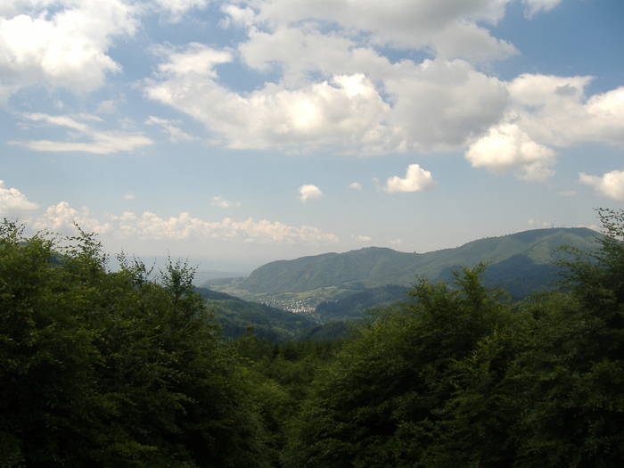 DSCF6085
