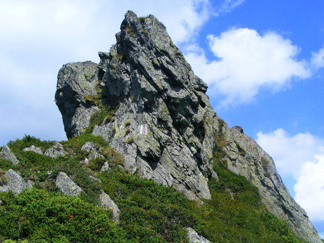 DSCF4408 - 2 august 2009 Traseu Suior Secatura Creasta Cocosului Gutaiul Doamnei  Vf Gutai