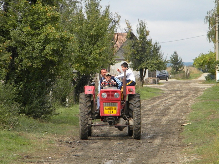 DSCN3207 - Copie - LIVADA DE MERI - TARGOVISTE