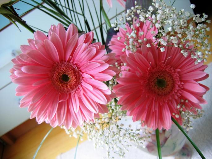 IMG_1245 - flowers
