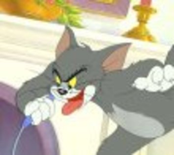 tom_j - poze tom and jerry