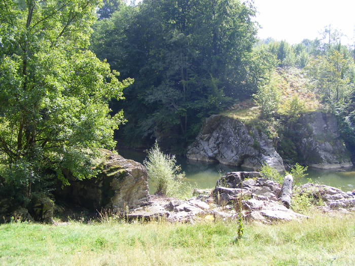 DSCF0380