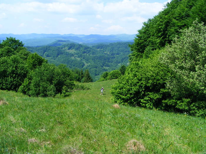 DSCF1073
