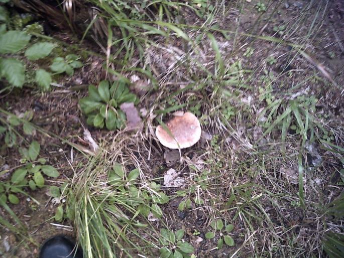 PICT0277