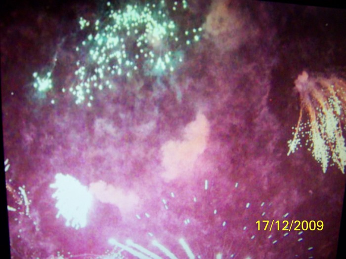 100_7068 - 1 Decembrie Timisoara