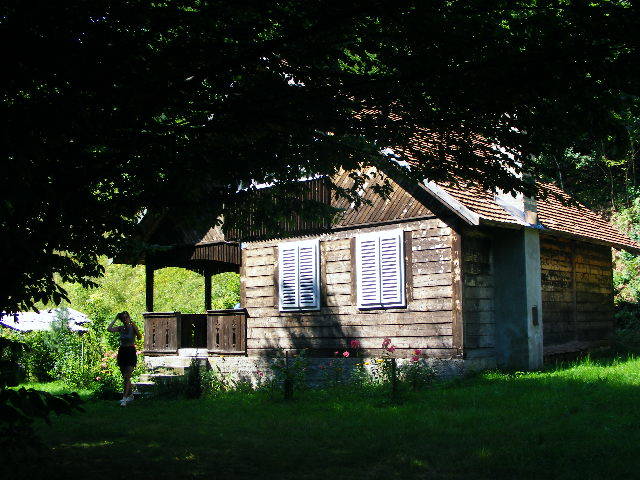 DSCF4746 - Firiza_Maramures