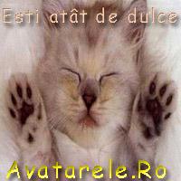 85 - Animalute dragute