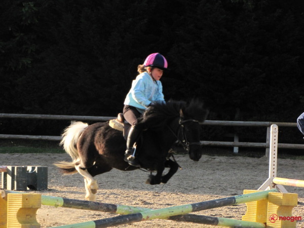 baa90f22_0010000736083_00_600