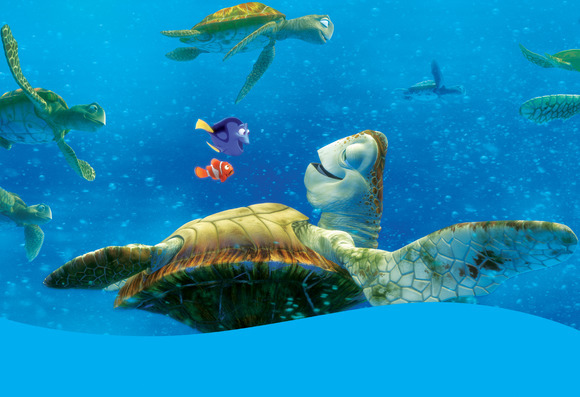 finding-nemo-469125l-imagine - in cautarea lui nemo