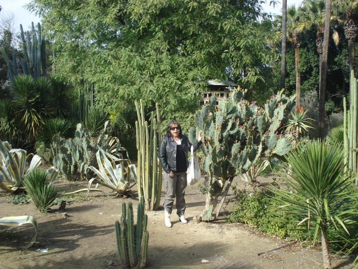 Picture 368; Nicosia de Sud
