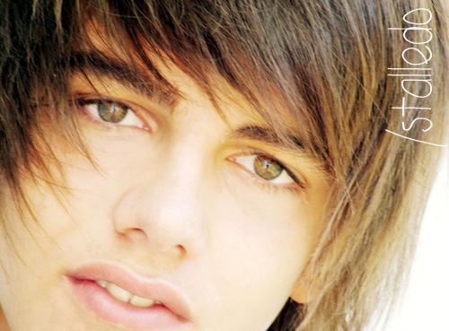 guido1