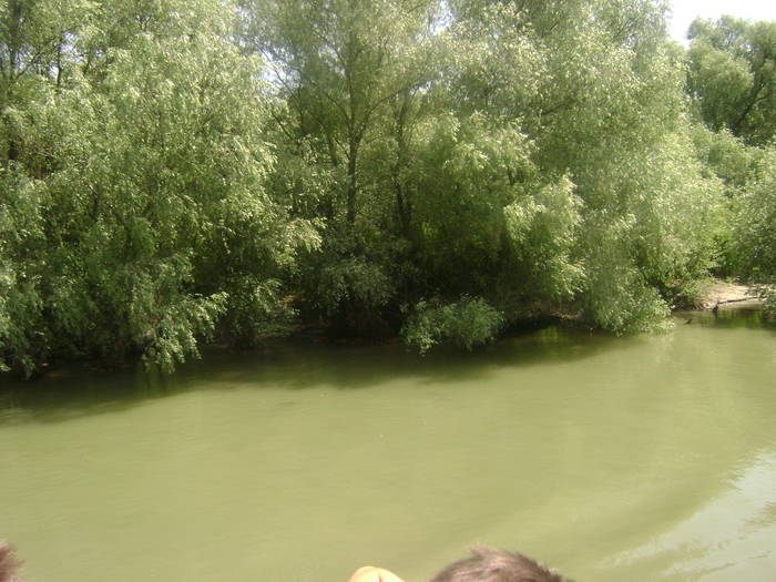 excursie delta dunarii 5062009 082 - EXCURSIE  in DELTA