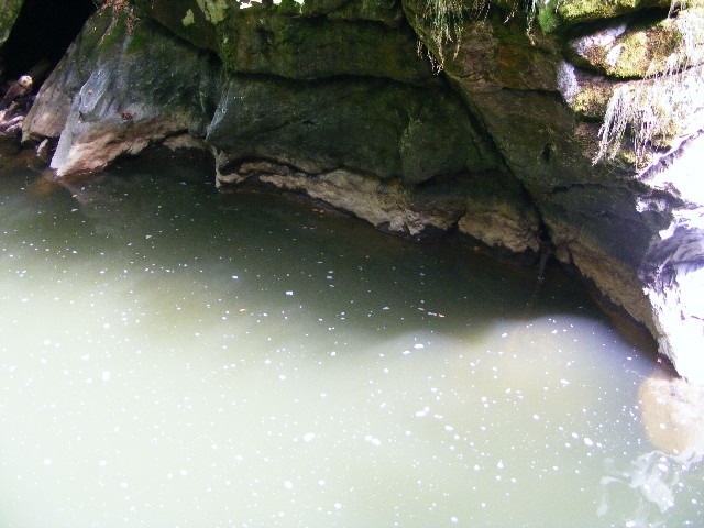 DSCF5182