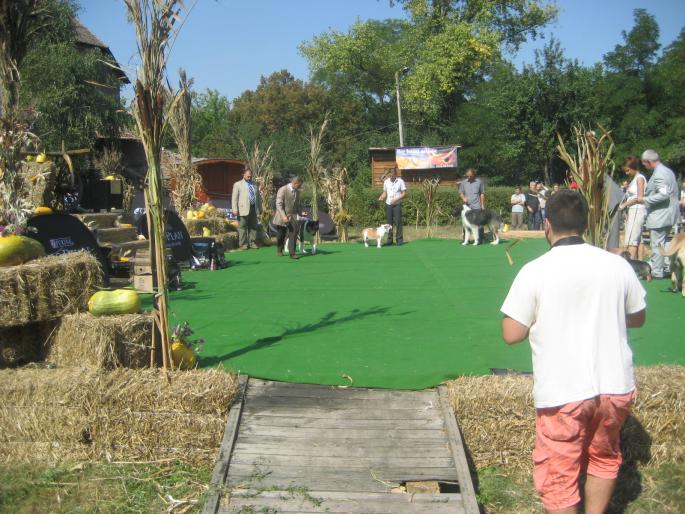 IMG_3281 - EXPO Tg Mures 2008