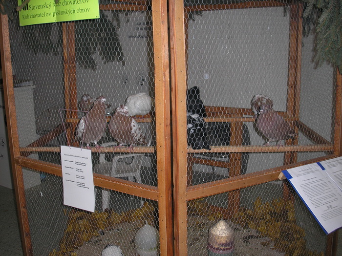P1010166