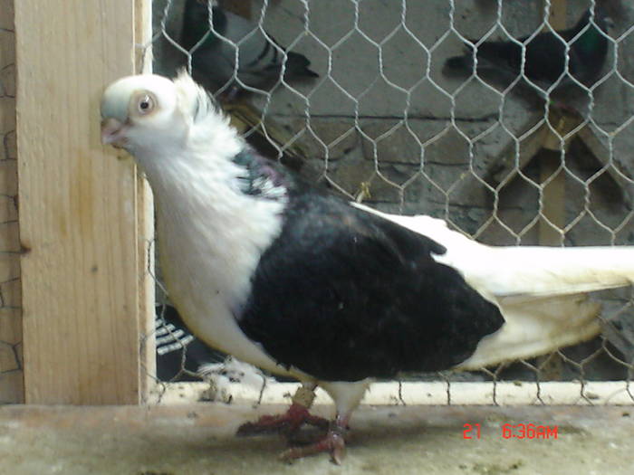 DSC02854