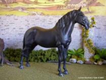 DYXQROLKOTQDRVRZVFI - bhsjwnjuw whabuqwiwkwiqjwnwnq